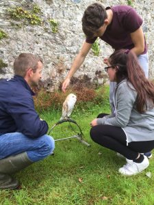 jurgen-hick-falconry-tourism